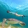 A woman in snorkel gear swimming next to a sea turtle